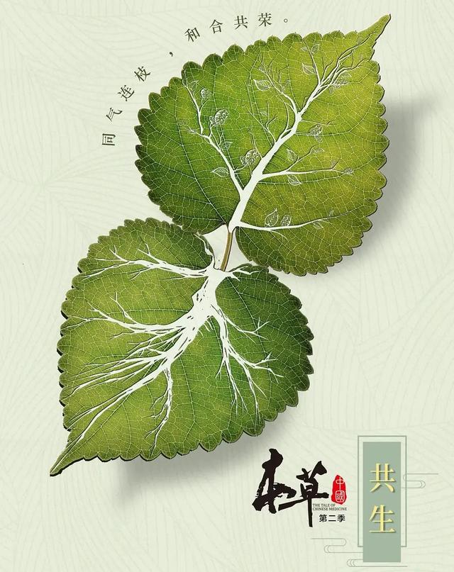弘扬中医药文化 助力健康中国-山东有线享TV精彩纪录片引领我们走进中医药，选择相信并使用中医药！