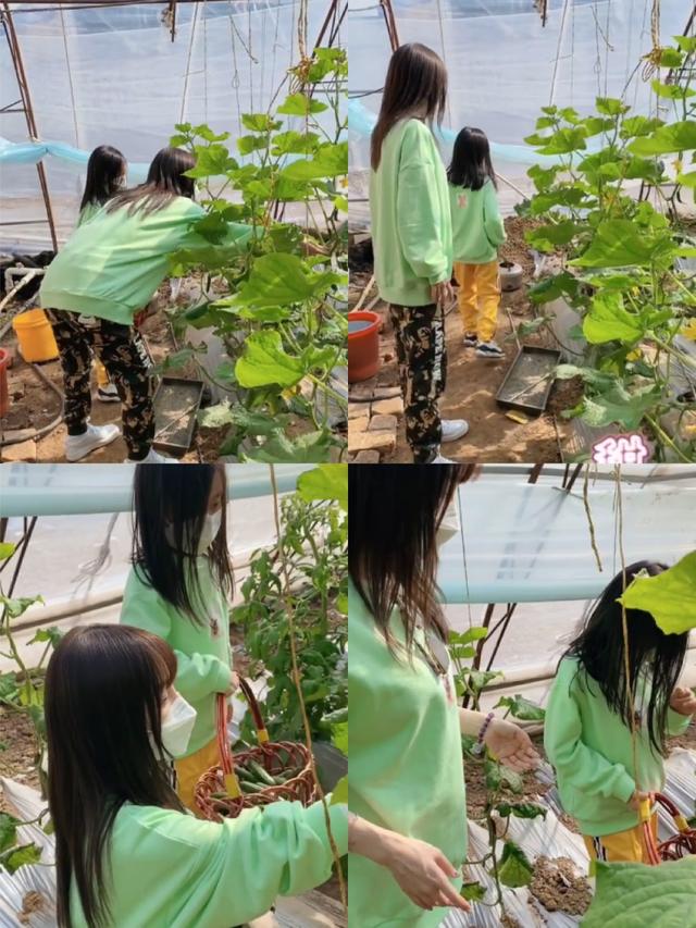 СĸŮHbժݮܰL߿쵽ֱԈ(jin)(qing)