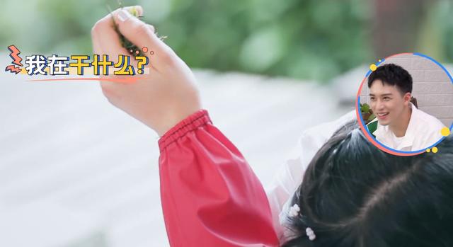 郑爽嗅着茶叶芳香，表情令人陶醉，宛如漫画走出的二次元少女