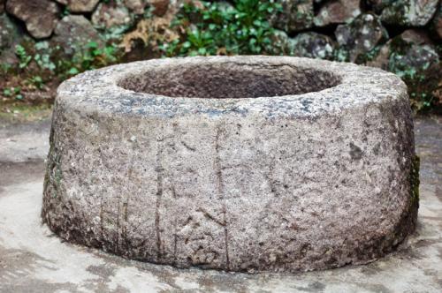 为什么在古井中会发现巨龟？