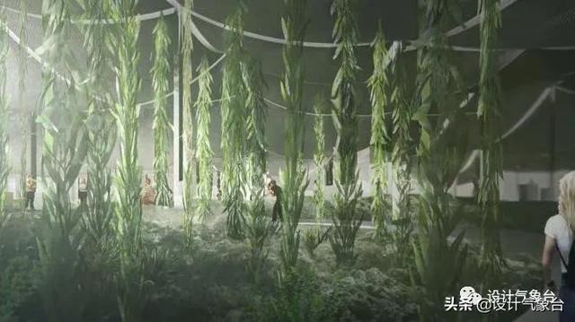 BIG惜败！再牛的方案也比不过一头鲸