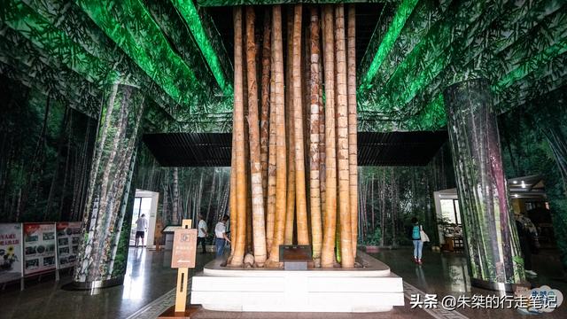 中国唯一竹子专业博物馆 坐落于著名的“中国竹乡”馆藏稀世奇珍