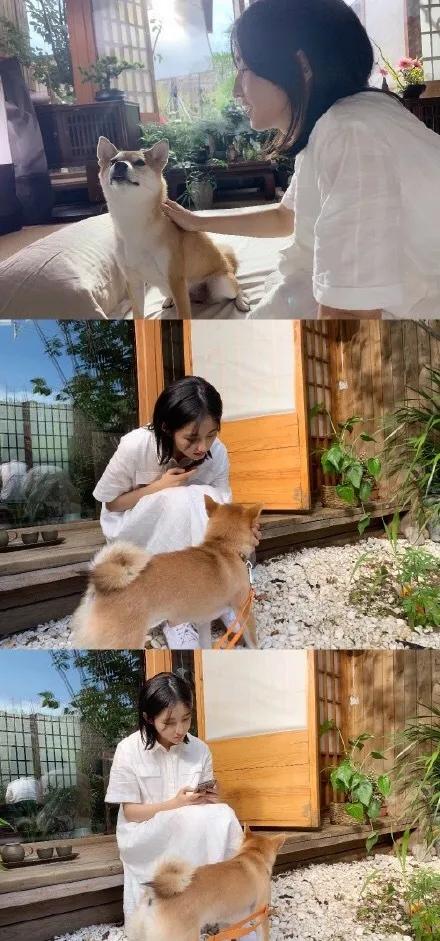 今年有哪些明星参加高考？从张子枫到赵今麦，