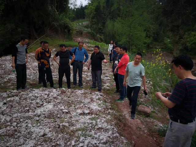 土壤修复产业：万亿级市场规模，市场未被垄断