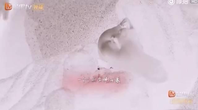 邓伦录节目被吓成表情包，当今国产综艺可以做这么“恐怖”吗？