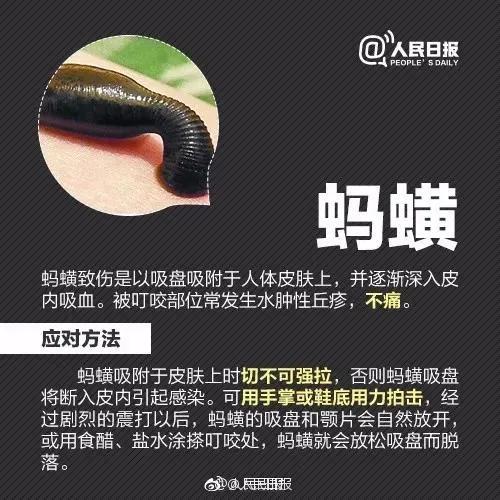 抚州人注意！近期高发！严重可致命