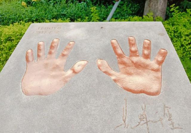 三亚1.5h直达！这座全国荔枝第一甜的海滨古城，