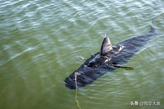 目前正在开发的很帅、也是很可怕的机器人项目