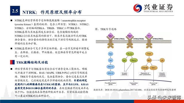 肺癌专题报告：序贯靶向治疗是核心，免疫联合治疗是新常态