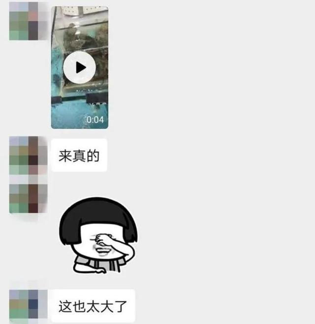 变着法处罚员工？生吃蚯蚓、喝厕所水、跪地爬