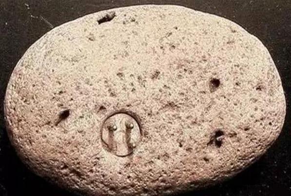 美国科学家发现10万年前的“三相插头”，史前文