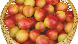 26種精致水果酒，泡制方法簡單，先收藏起來，夠你學一陣子了