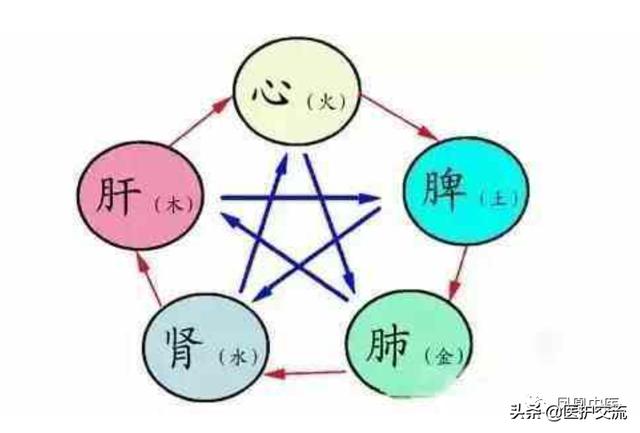 破解中西医之争的关键点！取消“以西律中”是中医药发展之路