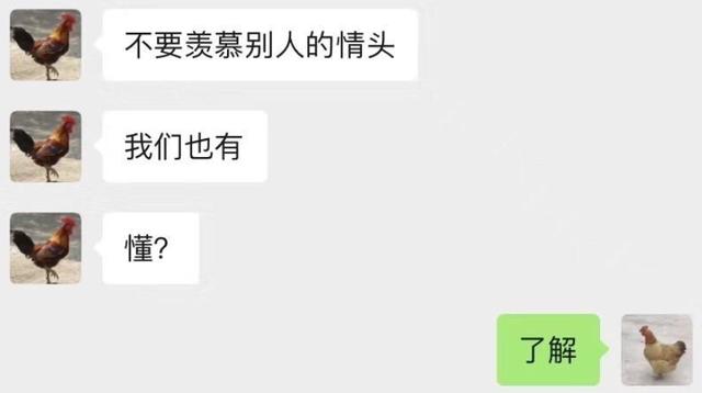 主人|盗窃欲拍晕主人结果把人打醒 迷惑！