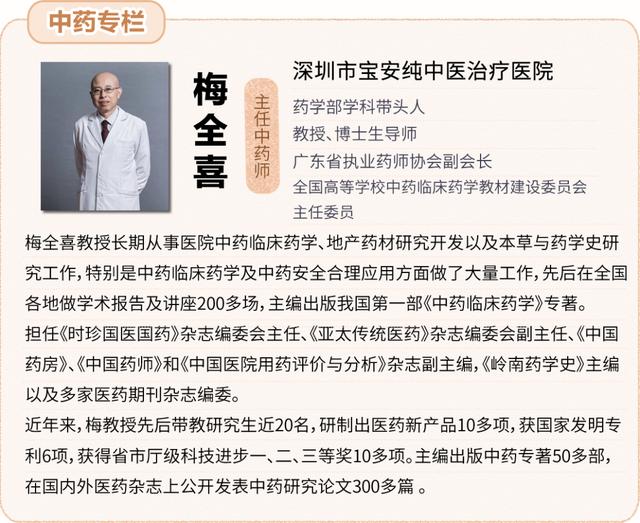 《本草纲目》故事：止血良药侧柏叶