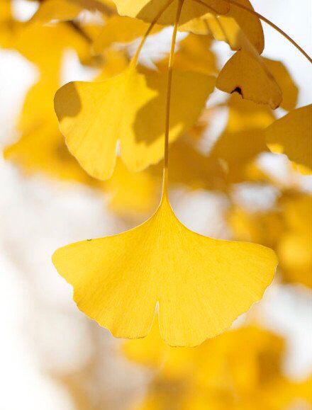 �޸������ۣ�����