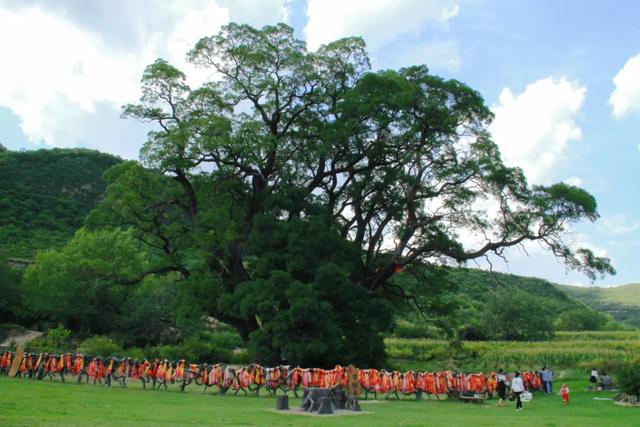 王者荣耀——平凉文旅战队招募