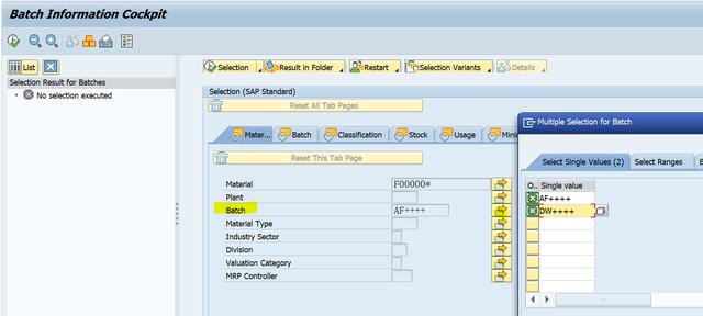 「SAP技术」SAP业务操作查询里的通配符