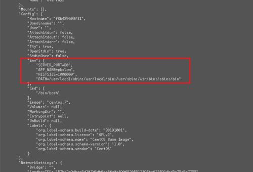 如何查看Docker容器环境变量，如何向容器传递环境变量