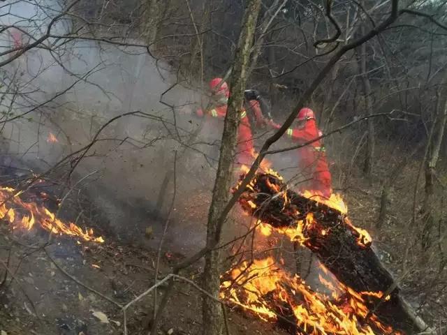 以经历过火灾（非凉山）的四川人身份分析凉山