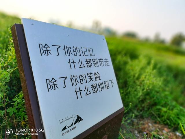 5G时代千元机怎么选？花粉亲测荣耀X10好与坏