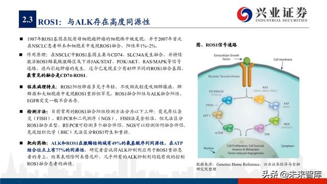 肺癌专题报告：序贯靶向治疗是核心，免疫联合治疗是新常态