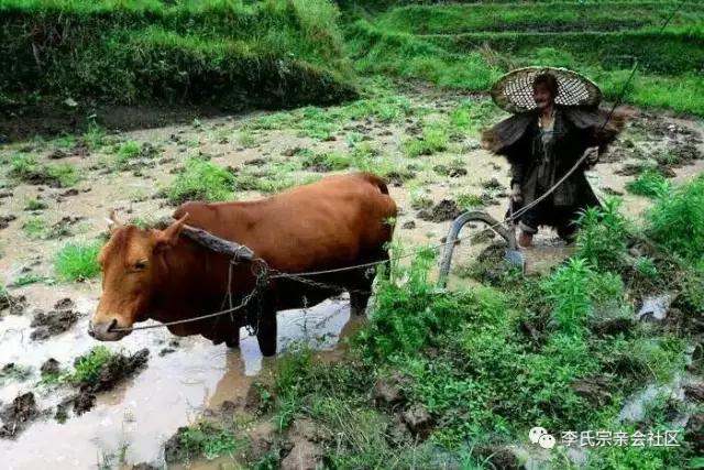 江西谷村！该省李姓最大的聚居地，西平王后人