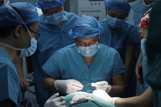 “2020南昌唇腭裂公益救助行动”即日起可报名