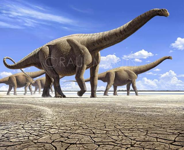 世界最大恐龙排行榜，易碎双腔龙体重可达220吨-第3张图片-IT新视野