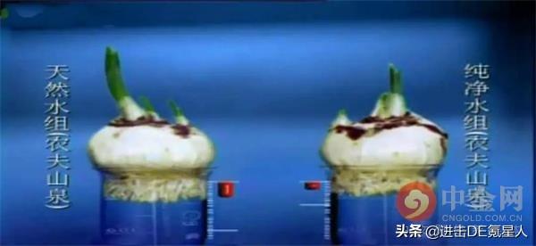 我想给农夫山泉的广告下跪