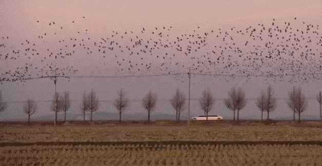 一集入坑，高能反转，韩版《轮到你了》终于不烂尾了