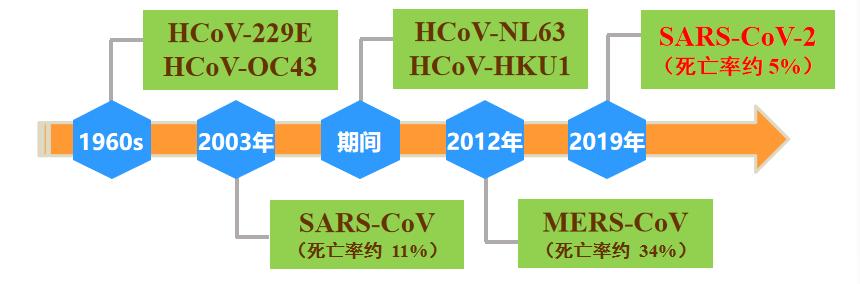 抗新冠药物及疫苗的研究进展