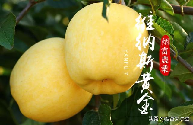 ̸ɽƻҵҵоԺƽҵչ
