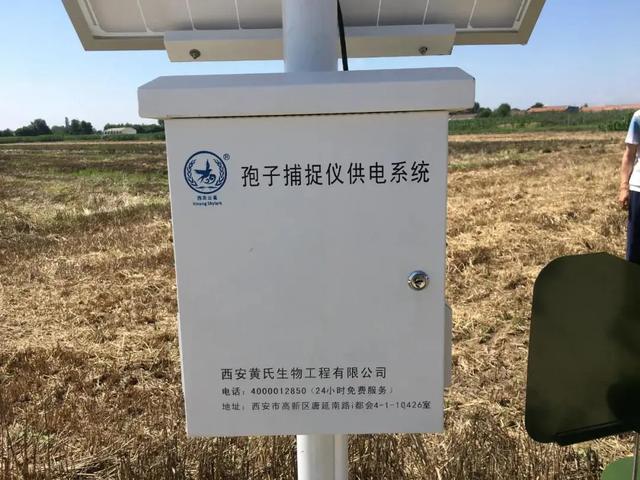 新突破！西北農(nóng)林科技大學(xué)在小麥條銹病精準(zhǔn)監(jiān)測(cè)預(yù)警技術(shù)方面取得重大突破