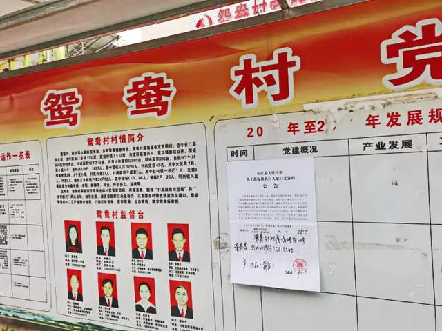 长汀法院：加大财产刑执行力度 铲除黑恶犯罪经济基础
