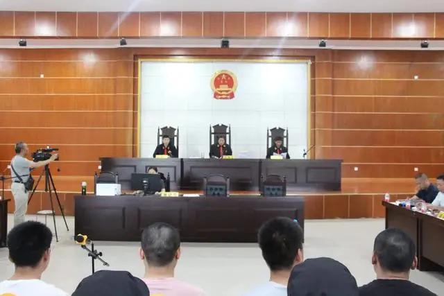 【决胜扫黑除恶收官年】淮滨法院奋力夺取扫黑除恶新胜利