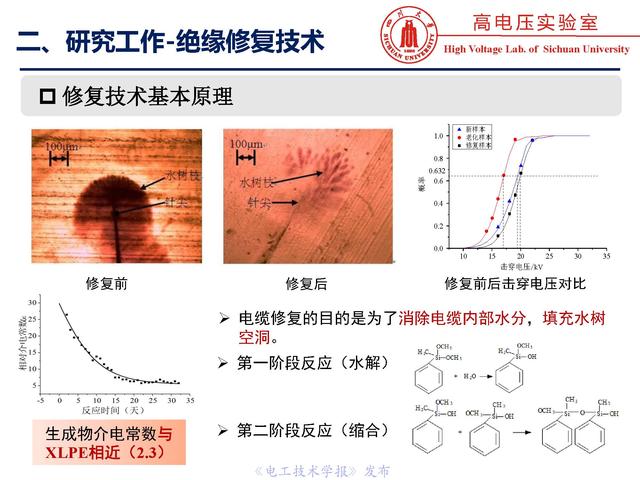 四川大學(xué)周凱教授：電纜水樹的老化、診斷與修復(fù)技術(shù)