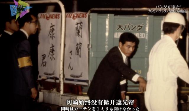 想和熊猫结婚、为看熊猫放弃妹妹婚礼！网友：