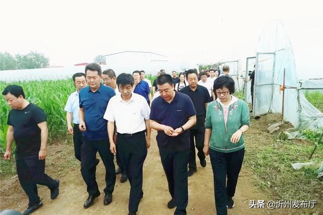 巩固发展"脱贫果" 切实做好"后半篇"