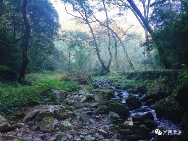 湘西摩旅两日经典路线：酉水风景、观日出雾海、探原始森林