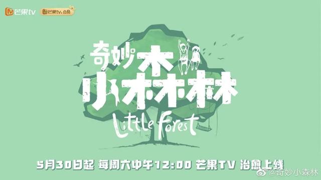 《炙热的我们》《奇妙小森林》开播；《青春有你2》迎来总决赛