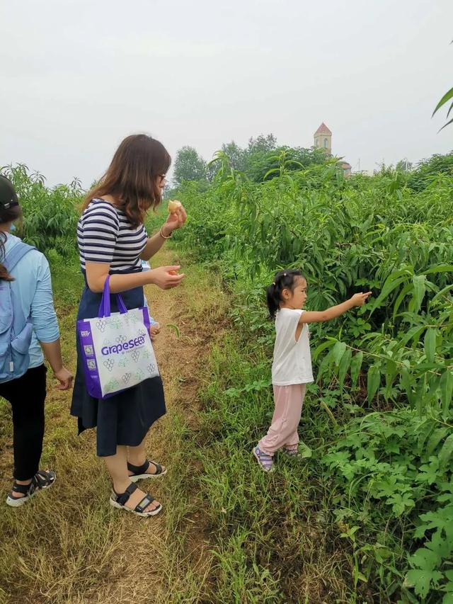 葡萄籽英语｜可润农庄户外课