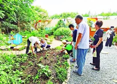 ʪ�����ɻ������߲� ����һС�����������γ���ɫ��̬ѭ����