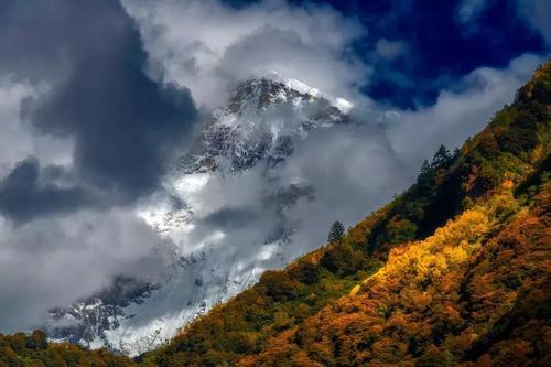 水不在深,有龙则灵,贵州龙吟事件是怎么回事