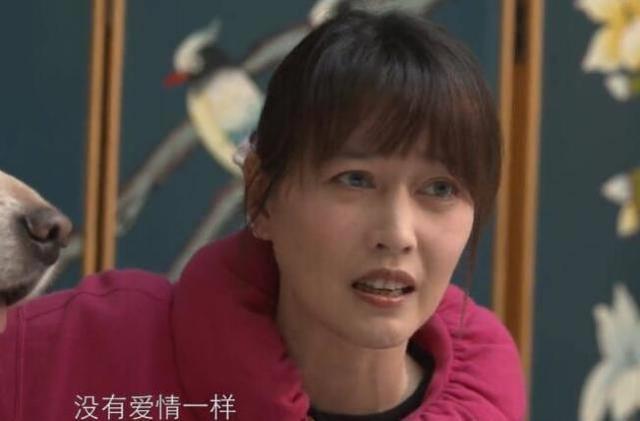 周海媚独居北京，坐拥超大菜园，直言不需要找