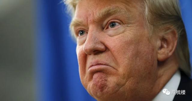 特朗普：没有人比我更懂抖音