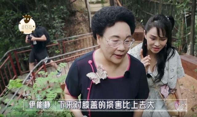 母爱超伟大！秦昊妈妈为“走”进儿子婚礼，做手术“废”了一条腿