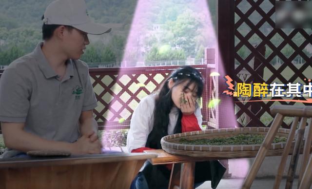 郑爽嗅着茶叶芳香，表情令人陶醉，宛如漫画走出的二次元少女