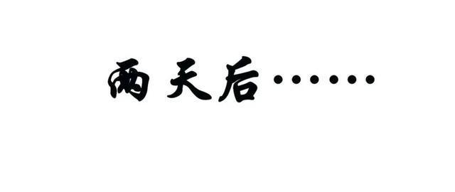 “杀猪盘”——江湖上一个必须知道的词