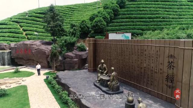 “武阳春雨”飘香“国际茶日”武义县长喊你来